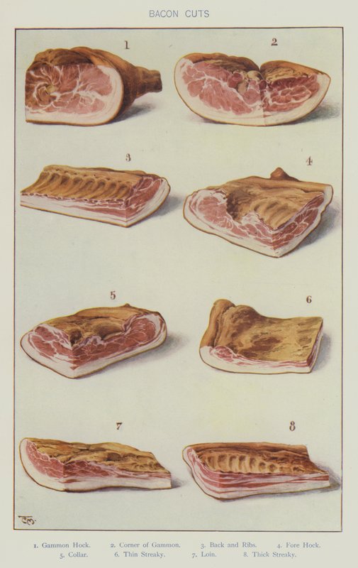 Baconudskæringer (farve litho) af English School
