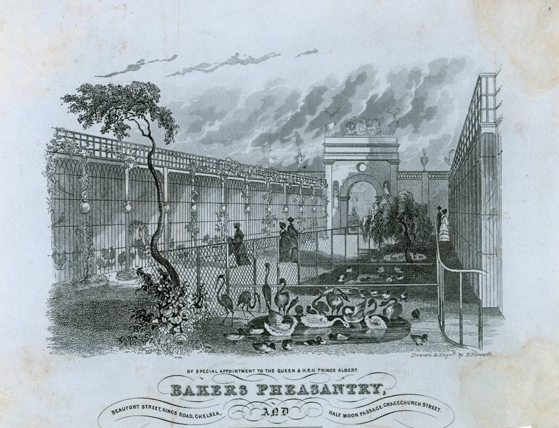 Bakers Pheasantry, Chelsea af English School