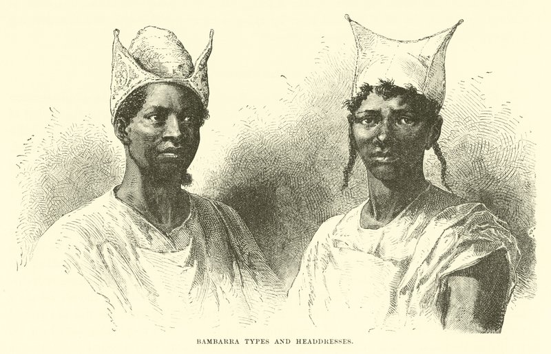 Bambarra Types and Headdresses  af English School
