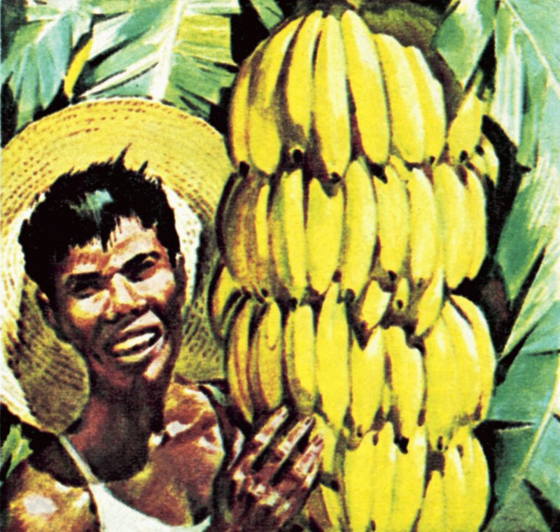 Bananer af English School