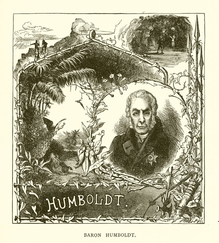 Baron Humboldt af English School