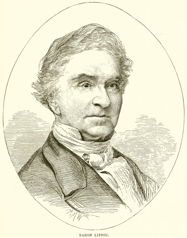 Baron Liebig af English School
