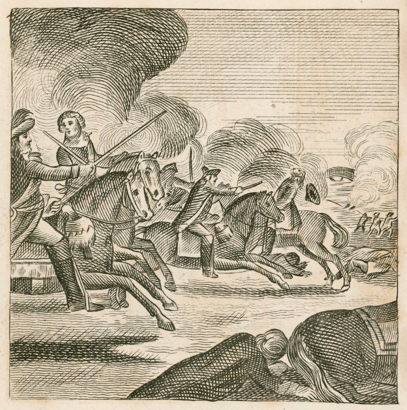 Battle of the Boyne, Irland af English School