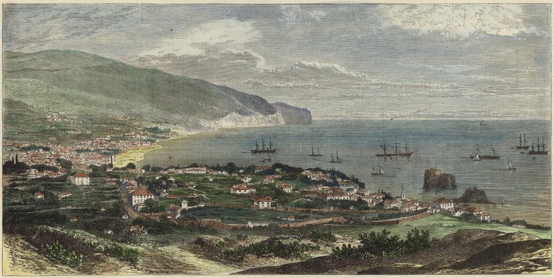 Bugten og byen Funchal af English School
