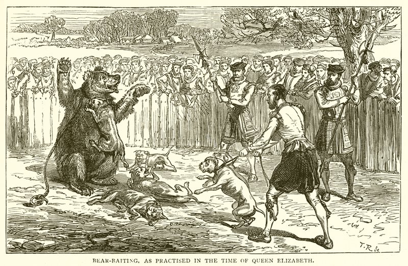 Bear-baiting, som praktiseret i Dronning Elizabeths tid af English School