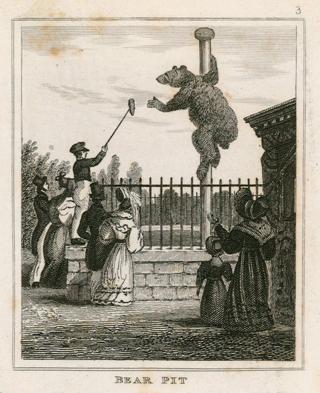 Bear Pit, London Zoological Gardens, Regents Park af English School