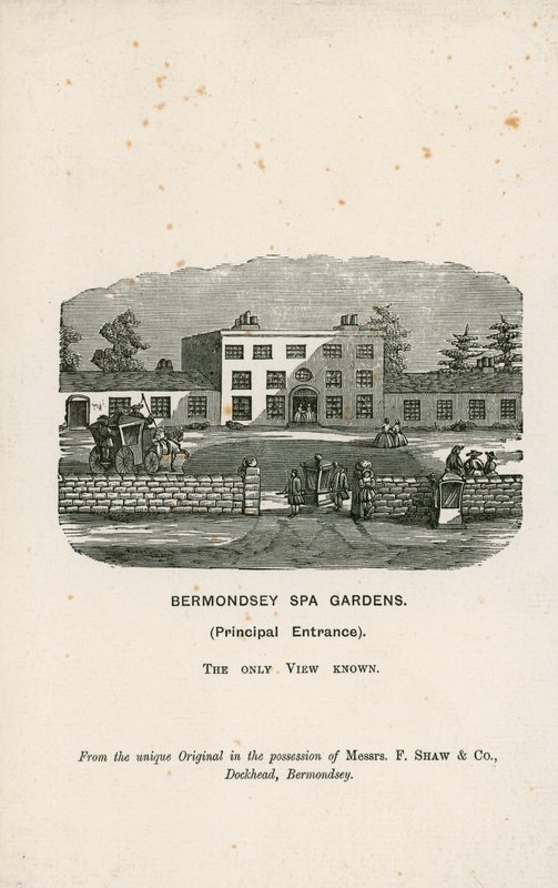 Bermondsey Spa Gardens af English School