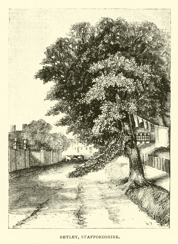 Betley, Staffordshire af English School