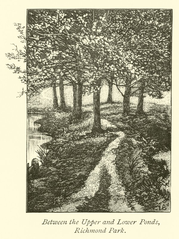 Between the Upper and Lower Ponds, Richmond Park  af English School