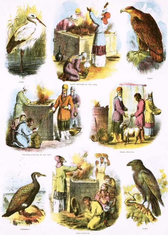Bibelske Illustrationer af English School