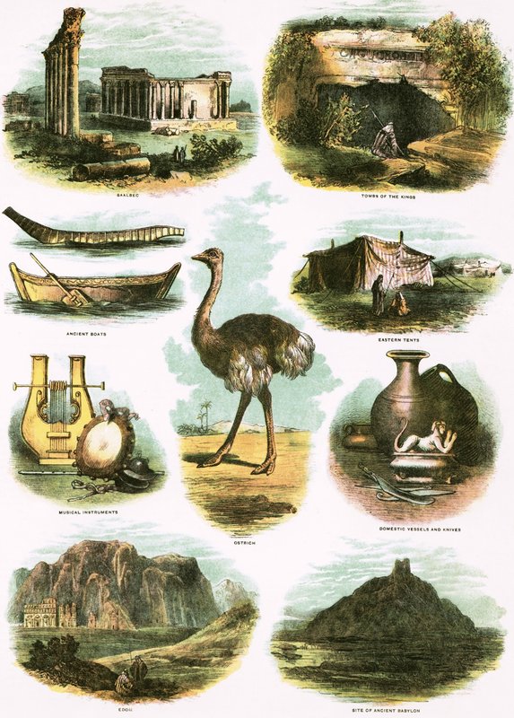 Bibelske Illustrationer af English School