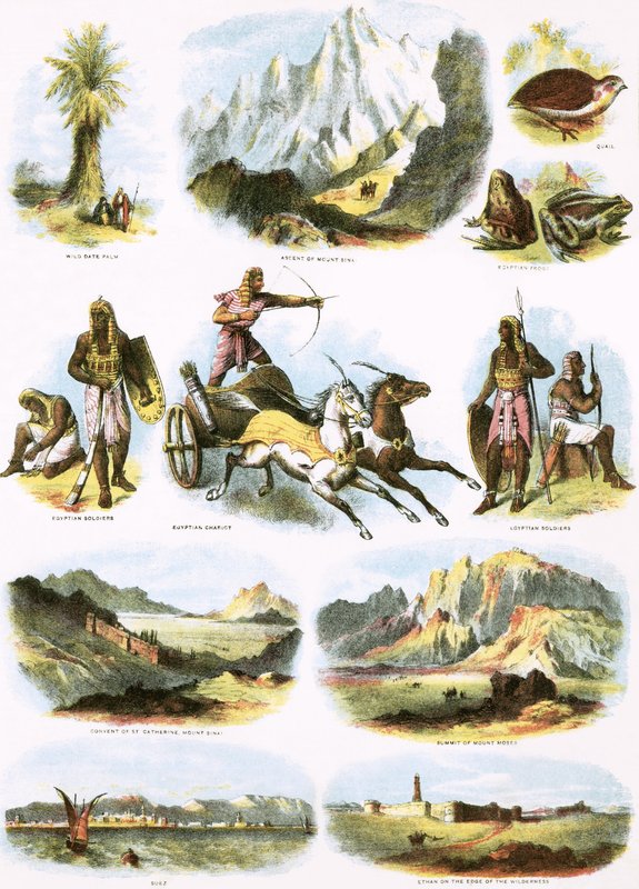Bibelske Illustrationer af English School