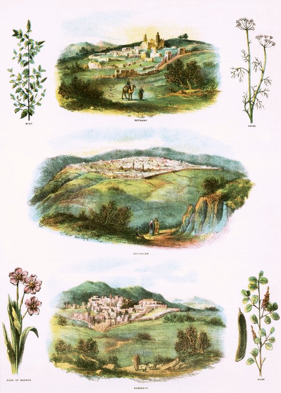 Bibelske Illustrationer af English School