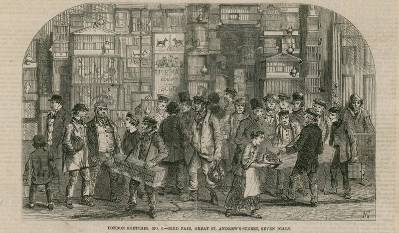 Fuglemesse, Great St Andrews Street, Seven Dials, London af English School
