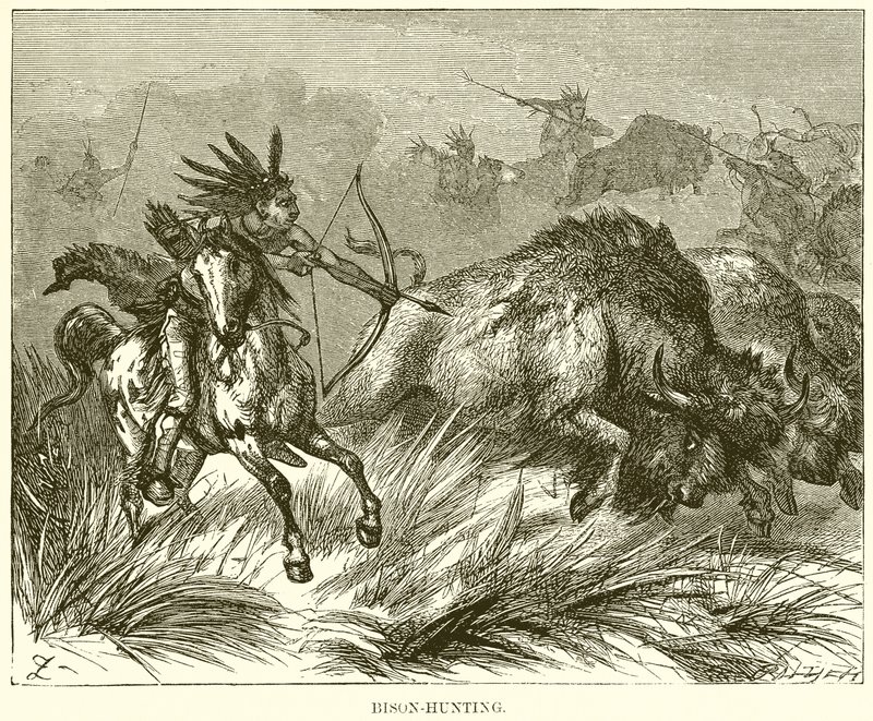 Bison-jagt af English School