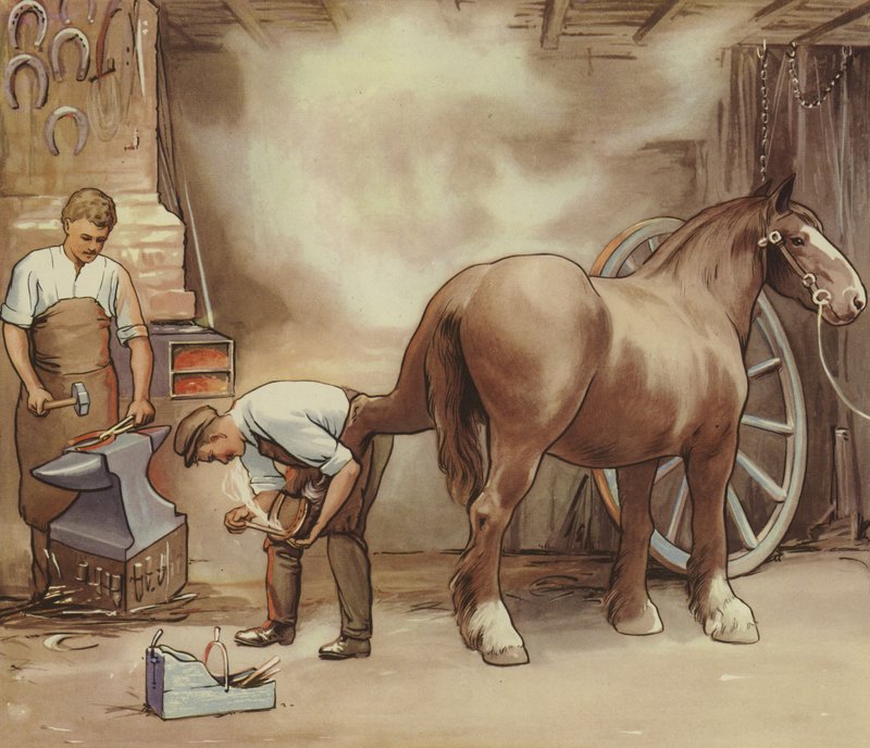 Smed sko en hest (farve litho) af English School