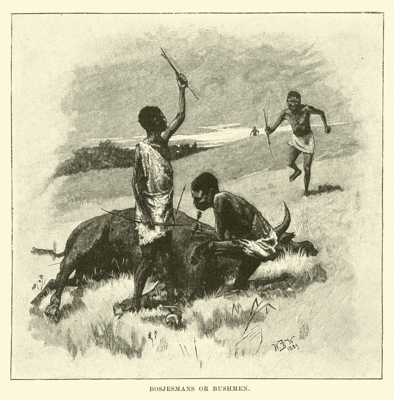 Bosjesmans eller Bushmen af English School