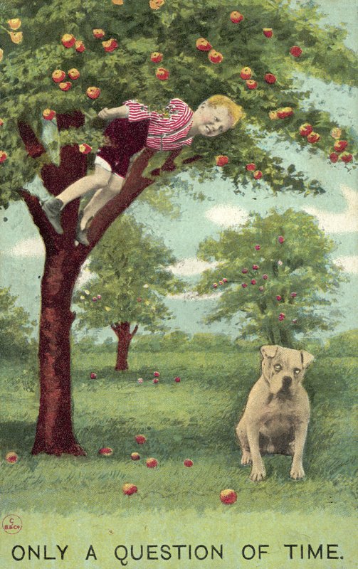 Dreng i æbletræ, med hund nedenfor, der venter på, at han falder (farve litho) af English School