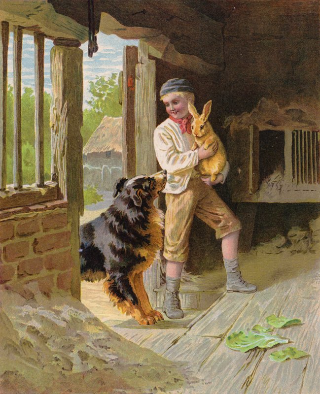 Dreng med en hund og en kanin på en gård (chromolitho) af English School