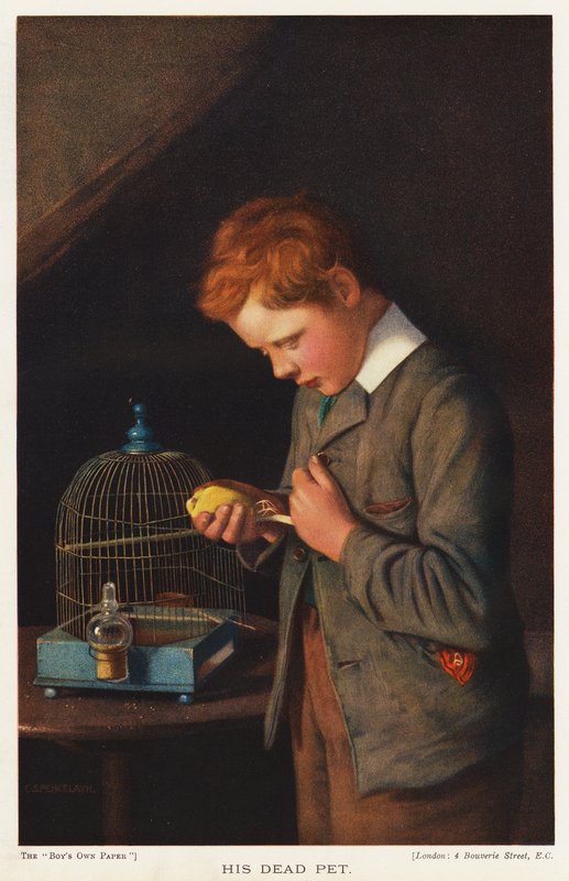 Dreng med sin døde kanariefugl (farve litho) af English School