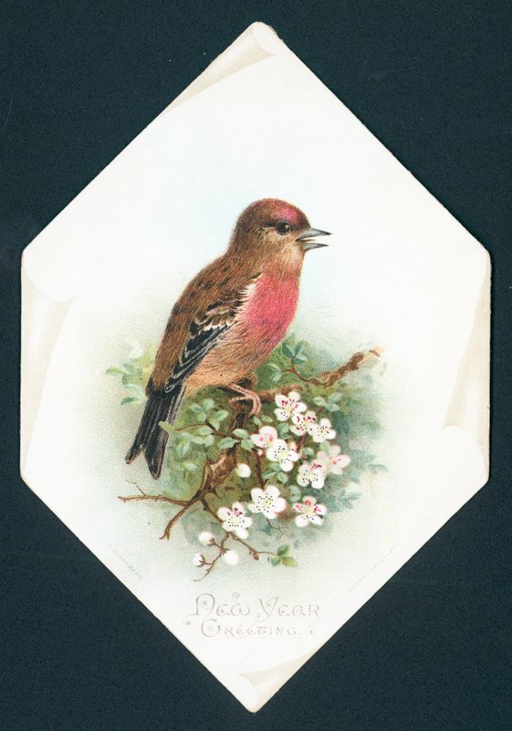 Brambling, nytårskort af English School