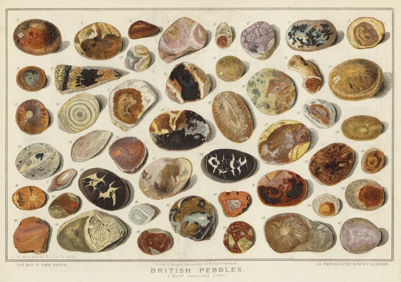 British Pebbles (chromolitho) af English School