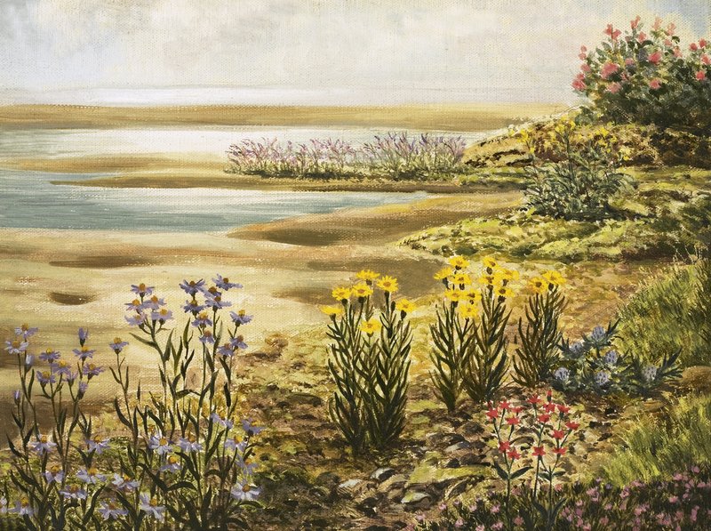Britiske saltmarskblomster af English School