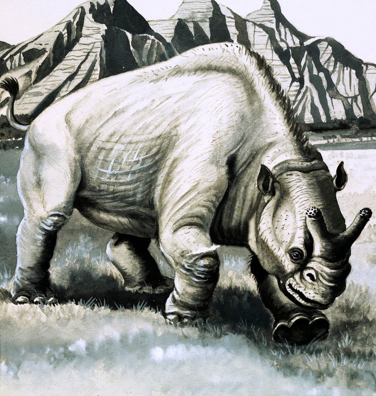 Brontotherium fra Oligocæn-alderen af English School