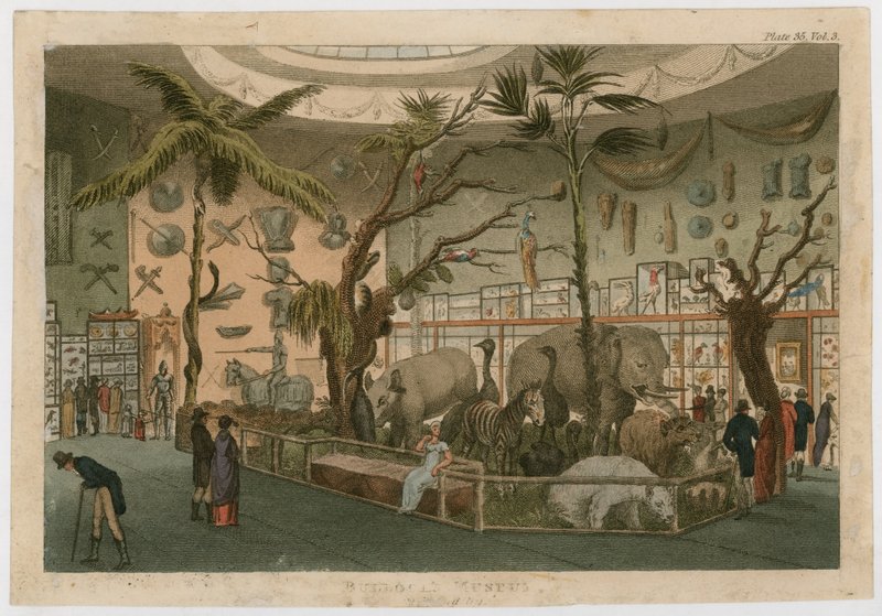 Bullocks Museum af English School