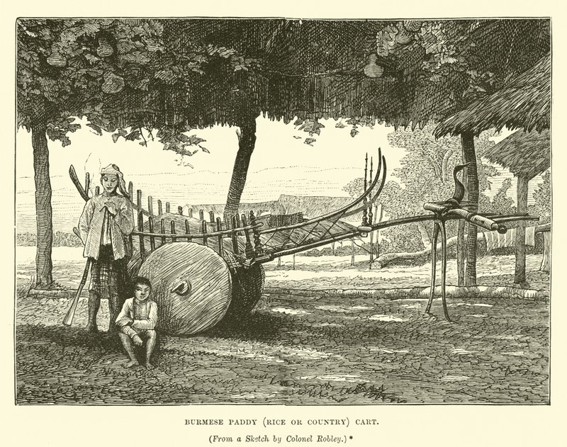 Burmese paddy (Rice or Country) cart  af English School