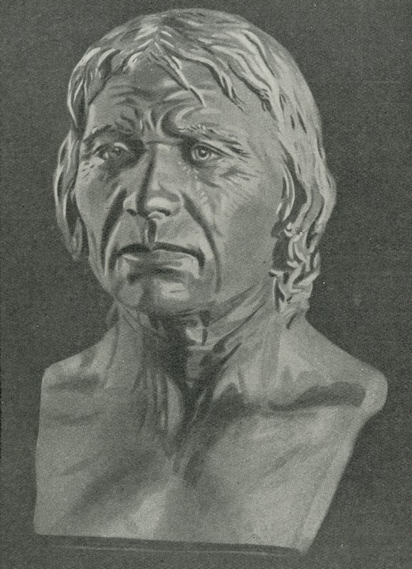 Buste af en Cro-Magnon-mand af English School