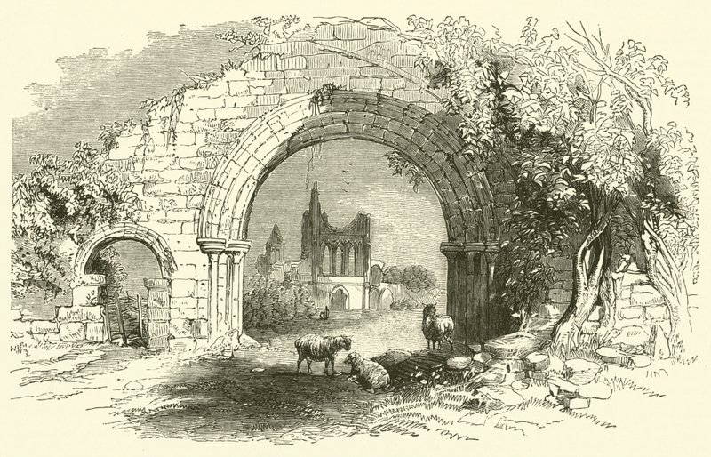 Byland Abbey (gravering) af English School