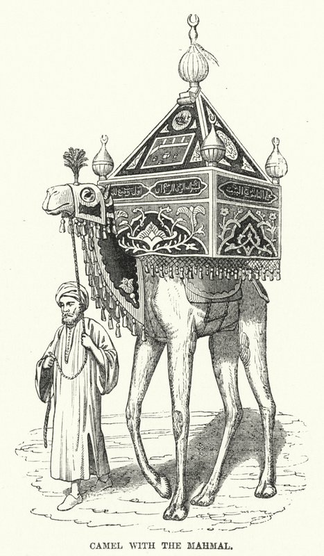 Kamel med Mahmal (gravering) af English School