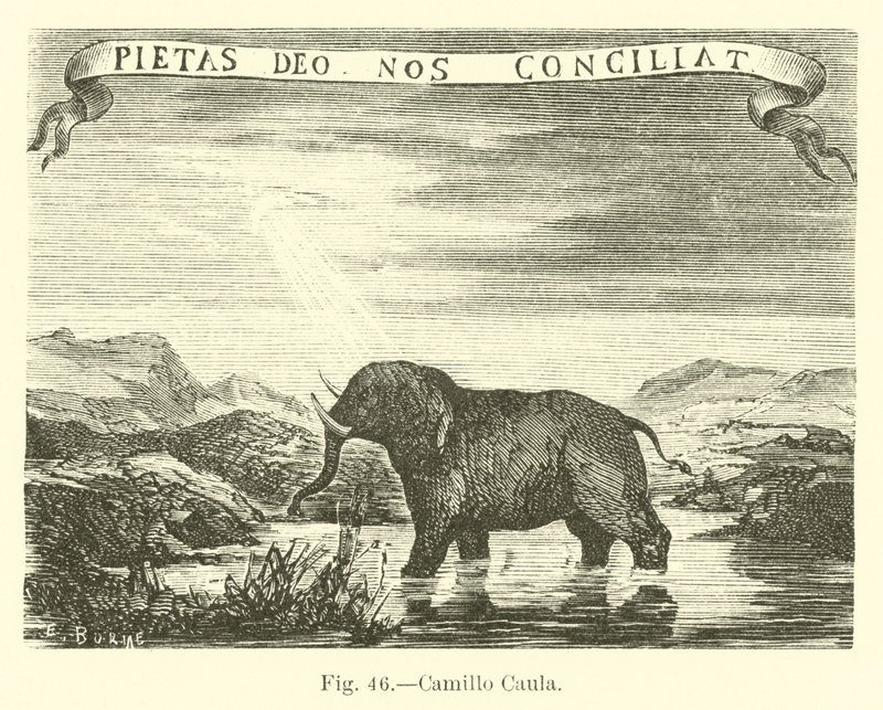 Camillo Caula af English School