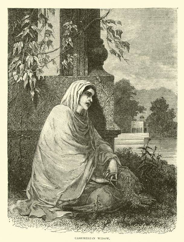 Cashmerian widow  af English School