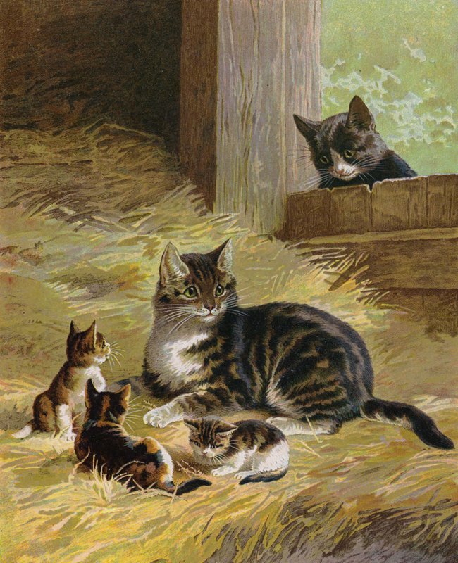 Kat med sine killinger i en lade (chromolitho) af English School