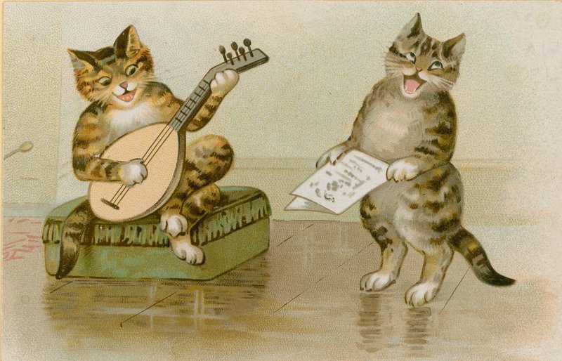 Katte laver musik af English School