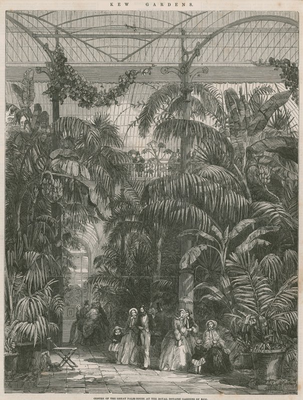 Center for Great Palm House ved Royal Botanic Gardens of Kew af English School