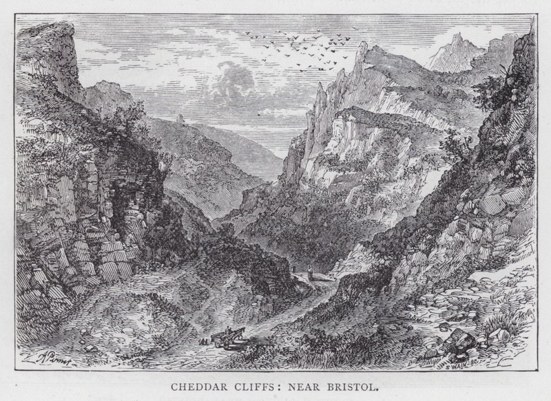 Cheddar Cliffs, nær Bristol (gravering) af English School