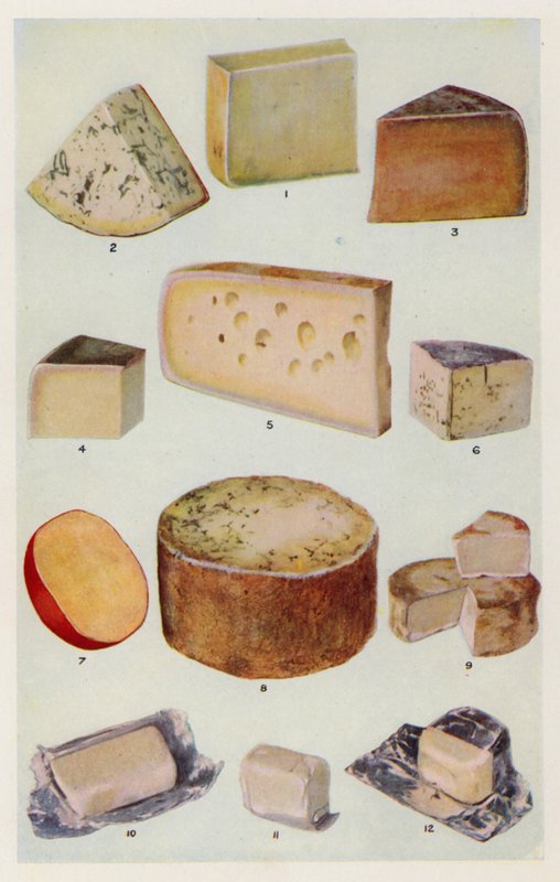 Cheddar; Gorgonzola; Double Gloster; Parmesan; Gruyere; Roquefort; Hollandsk; Stilton; Camembert; St Ives; Fløde (farvelitografi) af English School