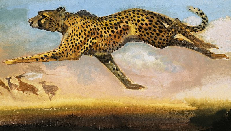 Gepard af English School