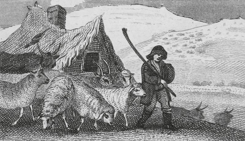 Cheviot fårehyrder (gravering) af English School