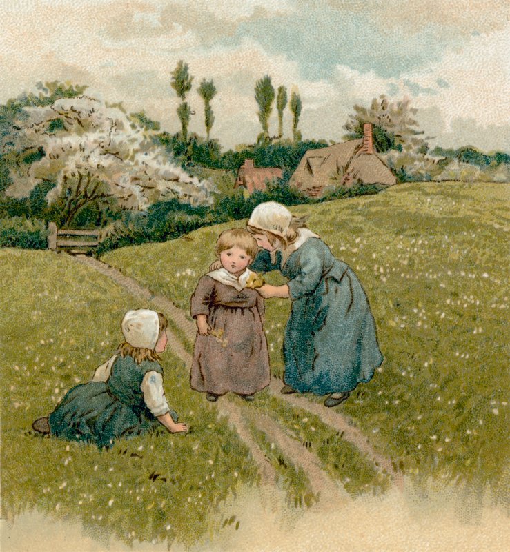 Pilgrimsfædrenes børn af English School