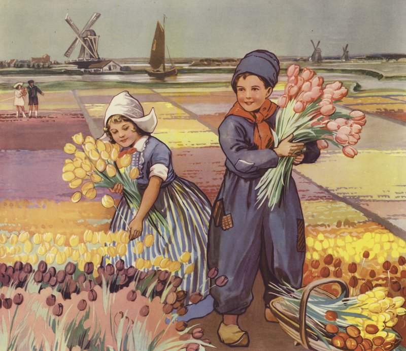 Børn plukker tulipaner i Holland (farvelitografi) af English School