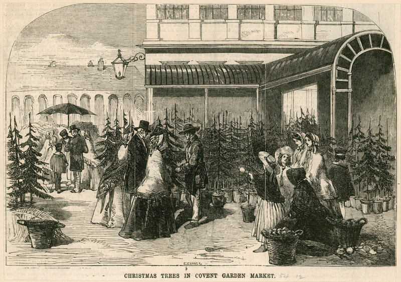 Juletræer i Covent Garden Market, London af English School