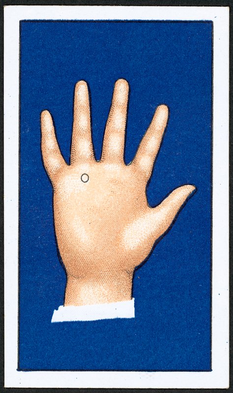 Cirkler (farve litho) af English School