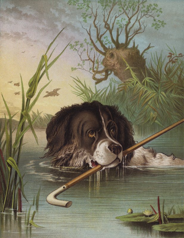 Clever Dash (chromolitho) af English School