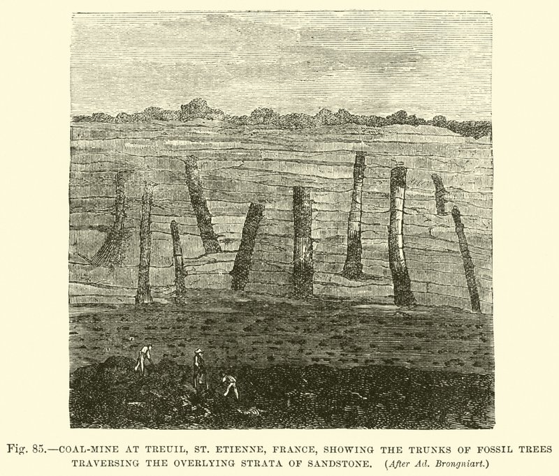 Coal-mine at Treuil, St Etienne, France, showing the trunks of fossil trees traversing the overlying strata of sandstone  af English School