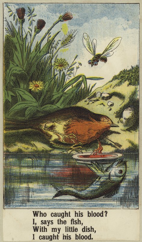 Pik Robin af English School