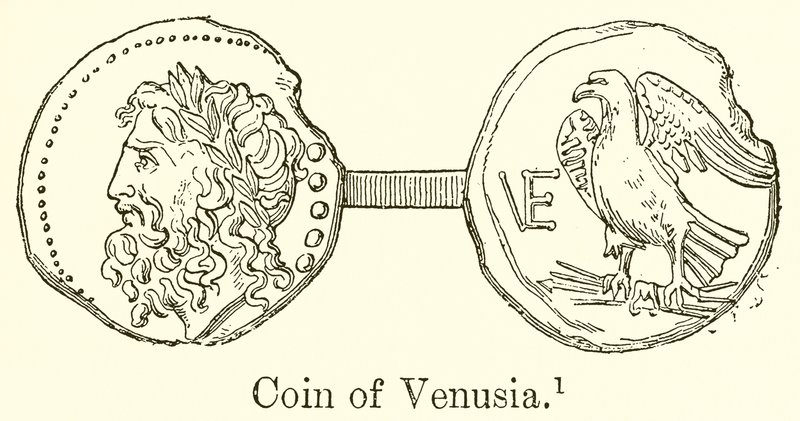 Venusias mønt af English School